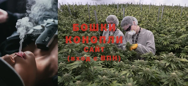 стафф Тавда