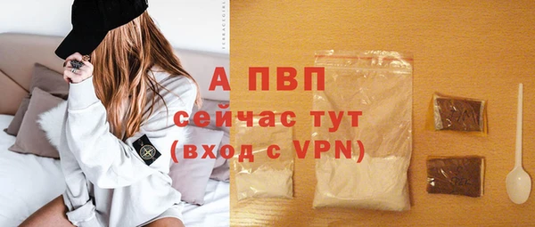 стафф Тавда
