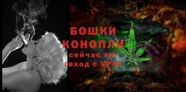стафф Тавда