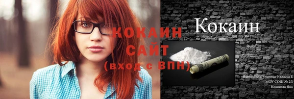 стафф Тавда