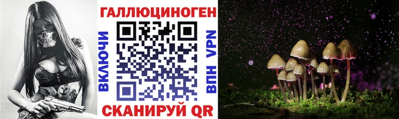 Галлюциногенные грибы прущие грибы  Старый Крым 
